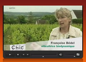 Choc- Vins Verts - Vins et Champagne Bio, Bio-dynamiques, Naturels et sans soufre